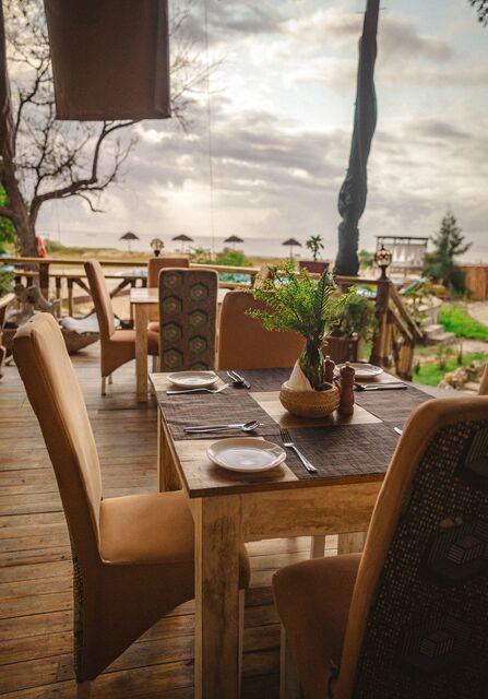 The table and the camp