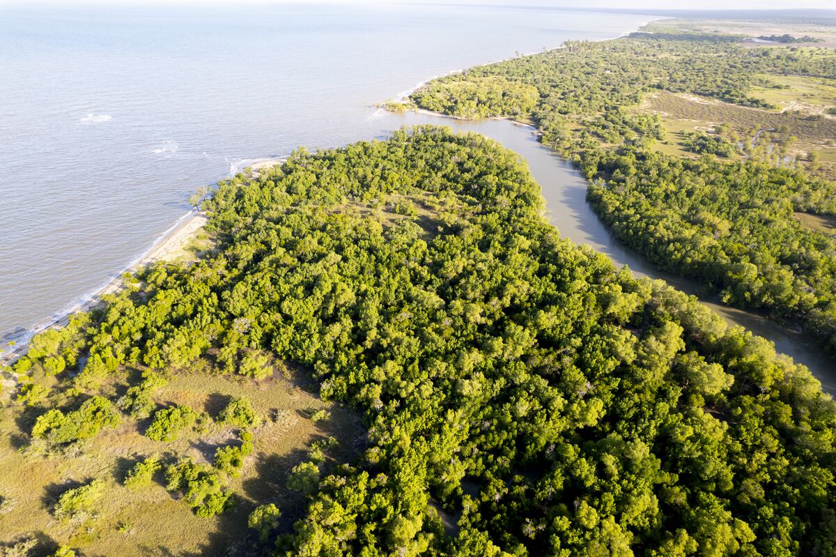 The park and the shore — Buffalo, giraffe, waterbuck and baboon on the floodplain, the estuary from the air, and the beach at first light.