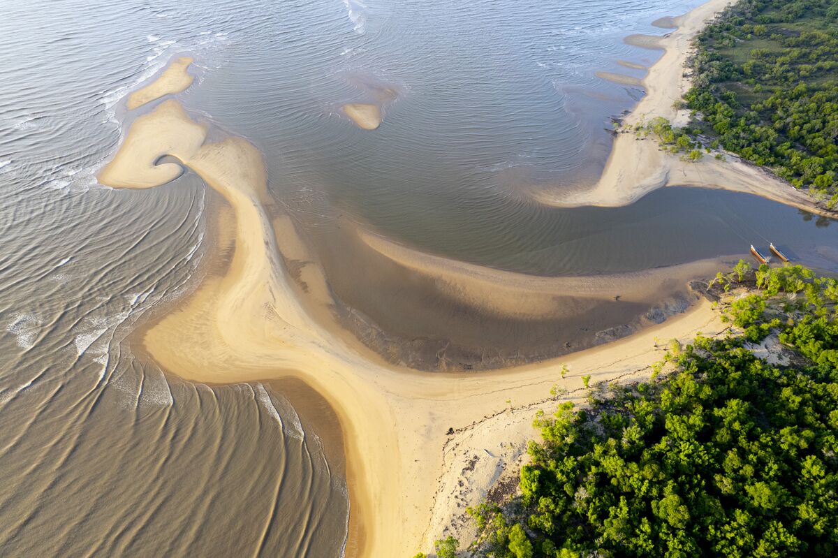 The park and the shore — Buffalo, giraffe, waterbuck and baboon on the floodplain, the estuary from the air, and the beach at first light.