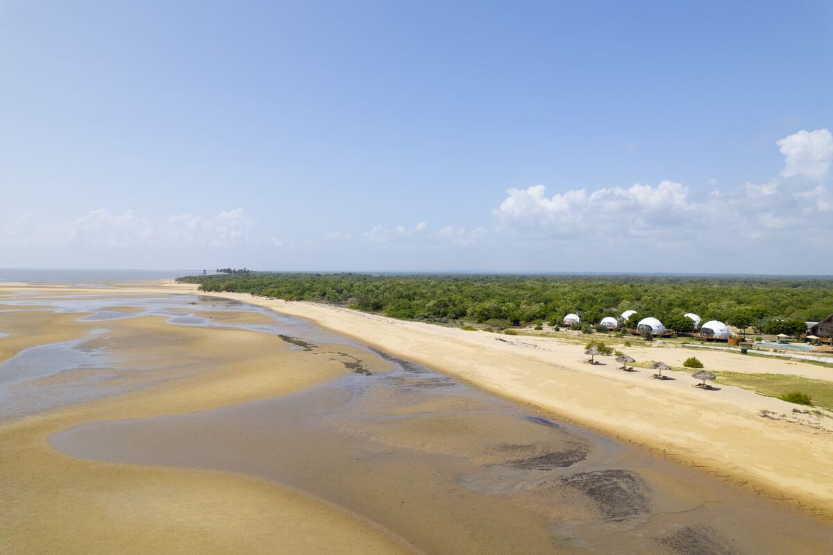 The Saadani coast from the air, with the sandbars exposed at low tide