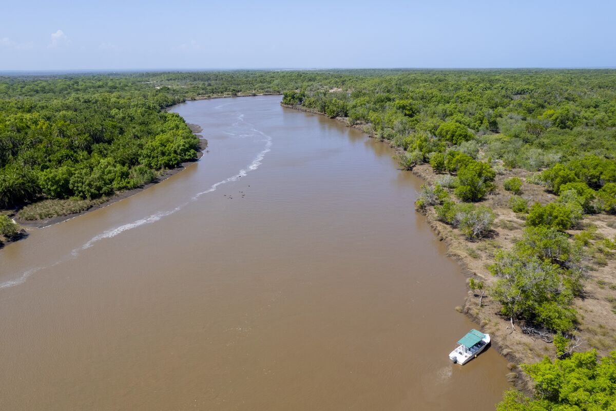 The experiences — The game drive, the Wami river, the Mafui sandbank, the villages and the bonfire.