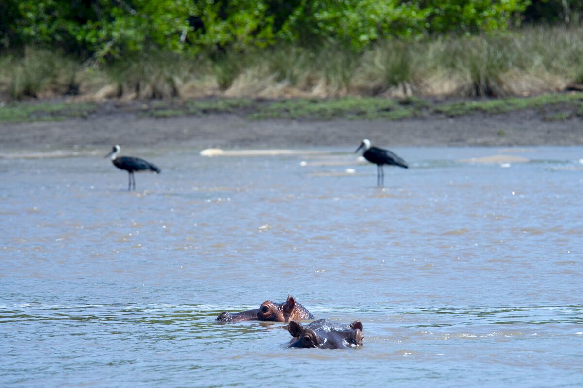 The experiences — The game drive, the Wami river, the Mafui sandbank, the villages and the bonfire.